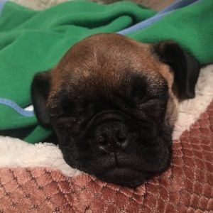 Meet your Posher, Angela